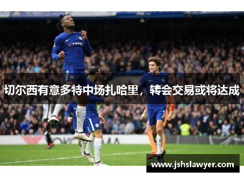 切尔西有意多特中场扎哈里，转会交易或将达成
